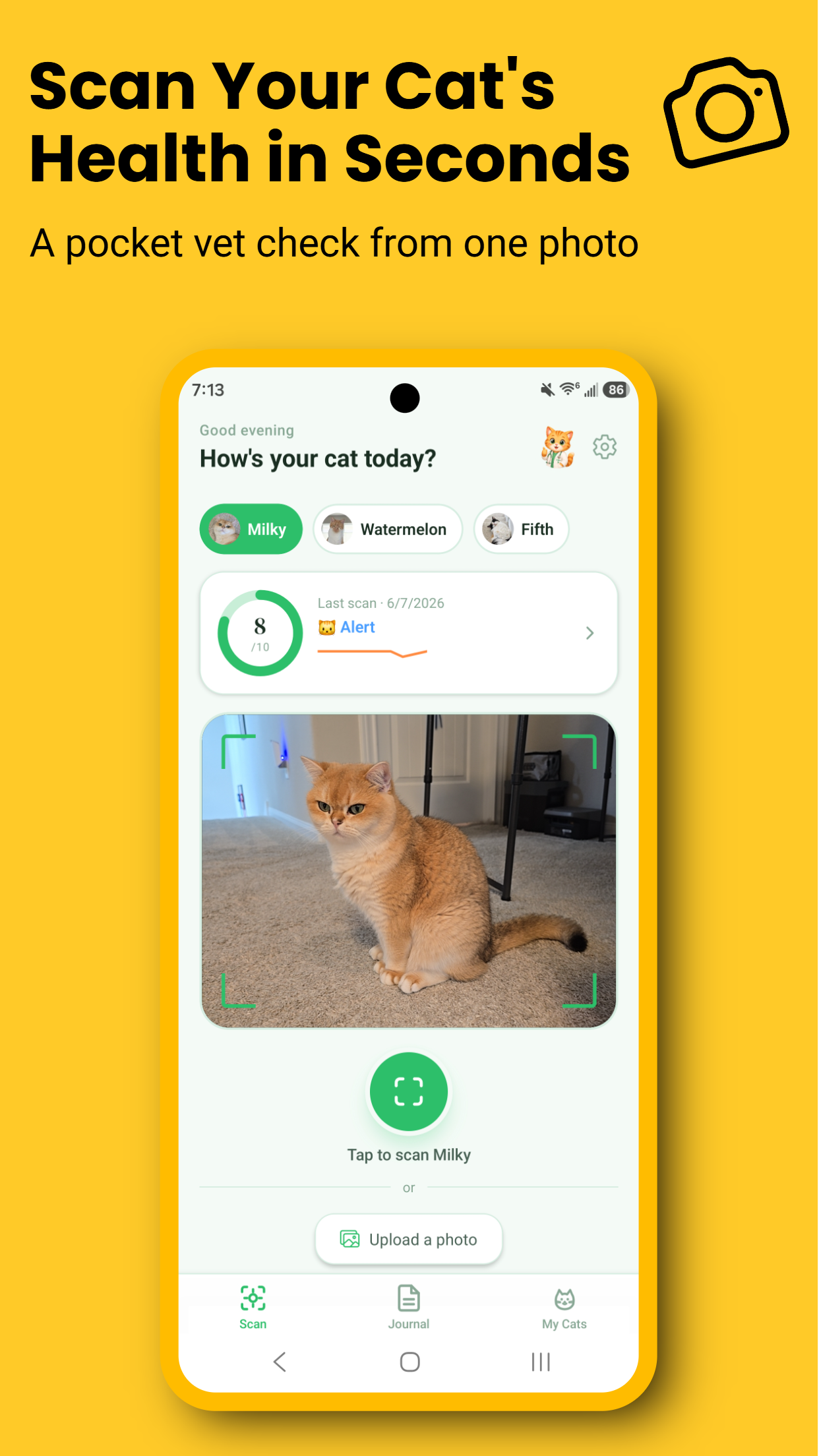 Dr. Meow home screen showing live cat scanner with wellness score 8, Alert badge, and three cat profile tabs