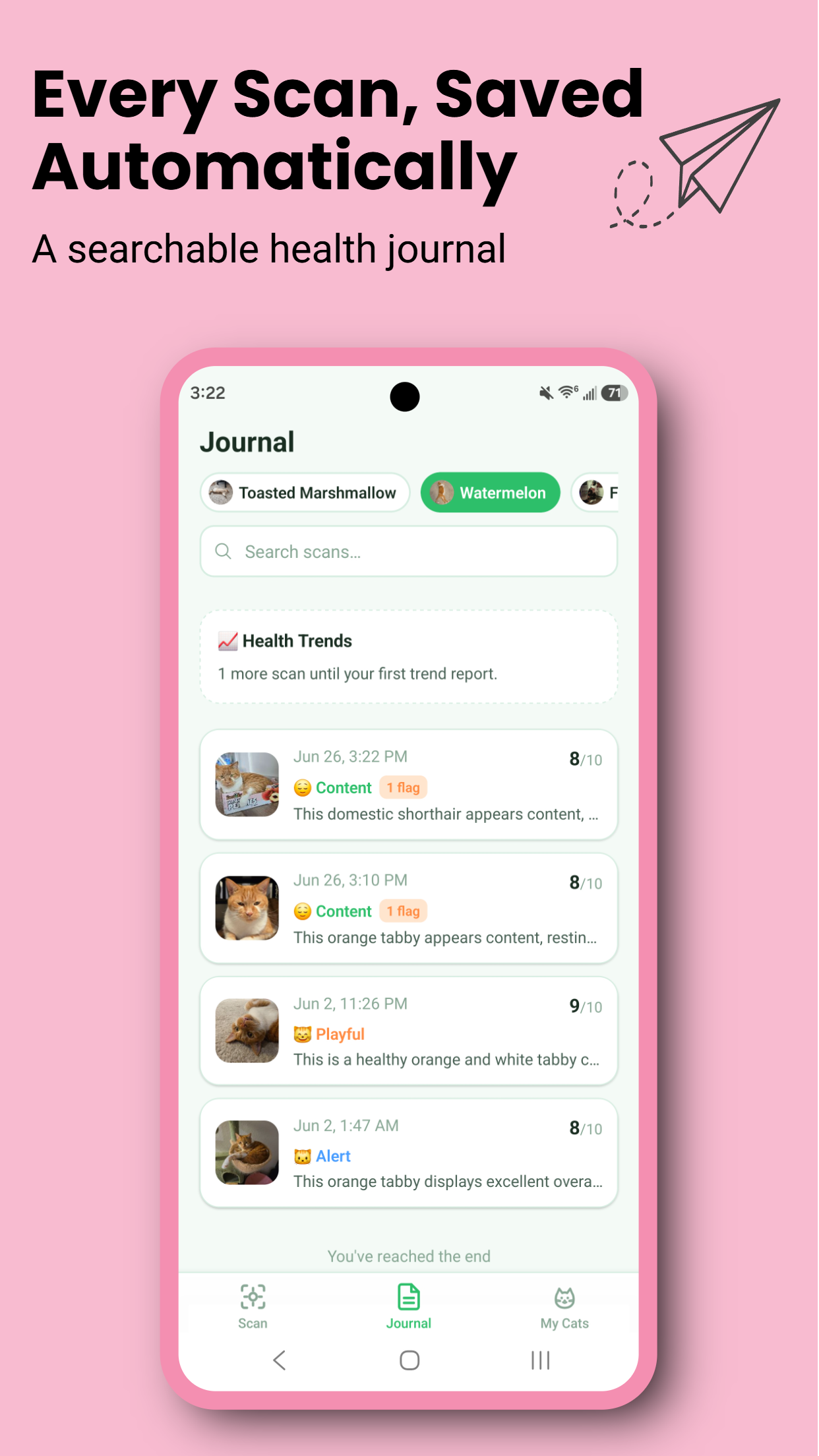 Dr. Meow cat health journal with searchable scan history, wellness scores, mood labels, and AI-generated summaries